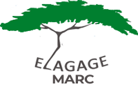 elagage-elagage-marc